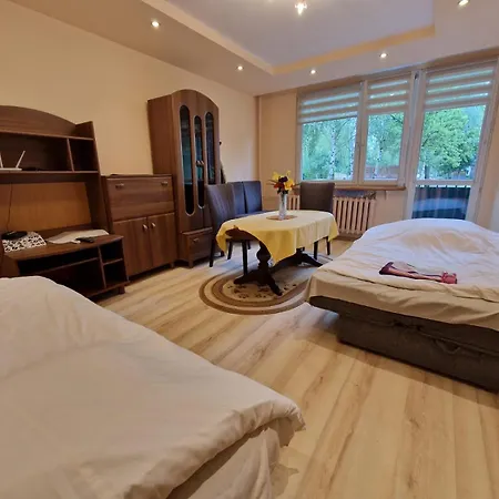 Romantica Comfort By Bookinghost Apartamento Częstochowa